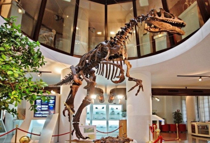 Foto di scheletro di dinosauro