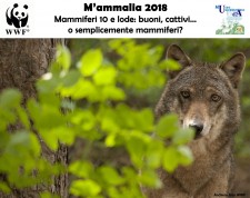 Mammalia 2018